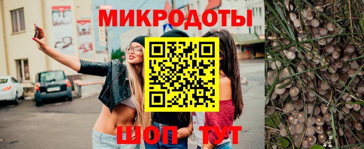 Галлюциногенные грибы прущие грибы  Вход с VPN  Шатура 
